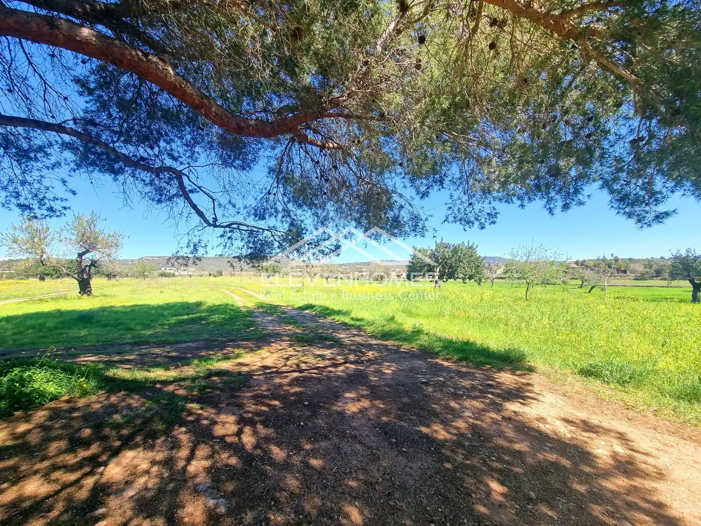 Finca rústica en venda en  Palma de Mallorca amb Traster i Piscina