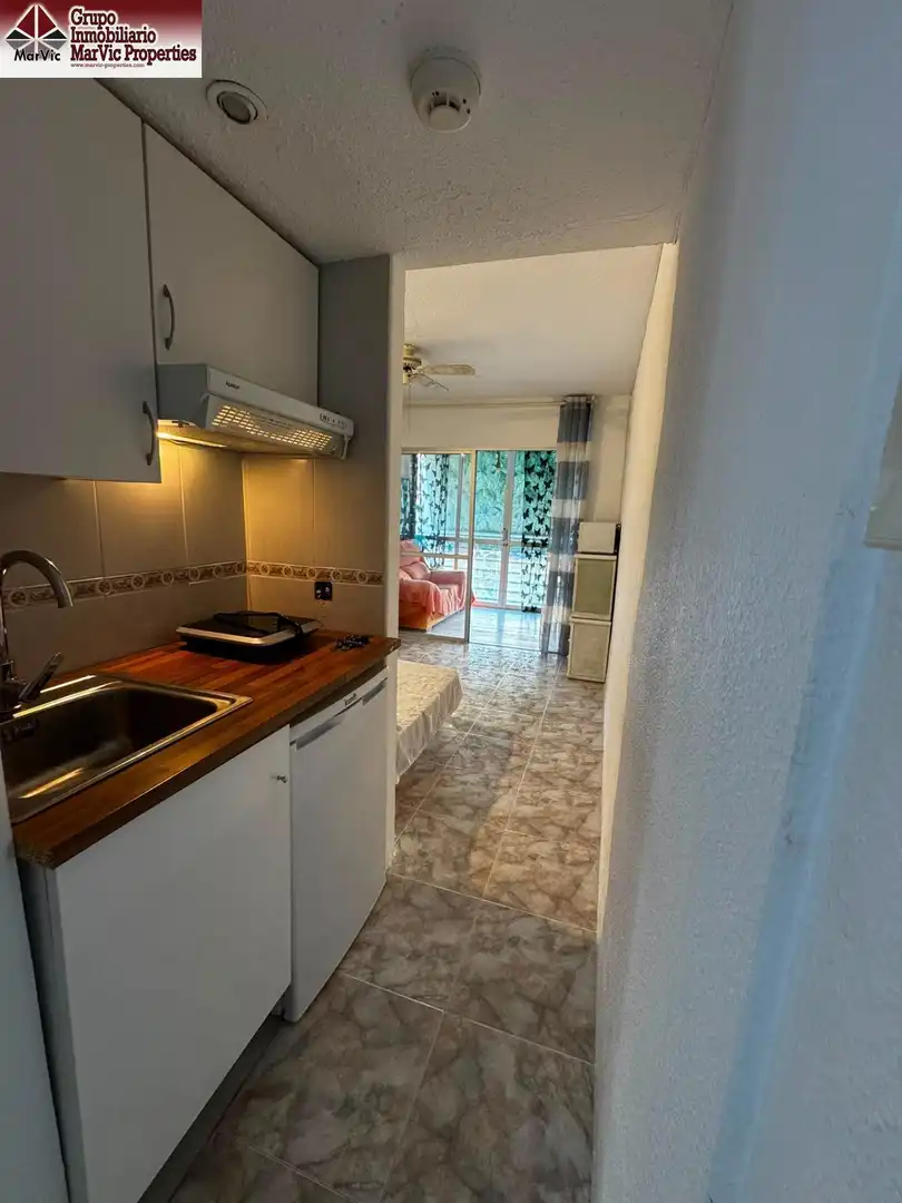 Cuina de Estudi en venda en Benidorm amb Jardí privat, Moblat i Piscina comunitària