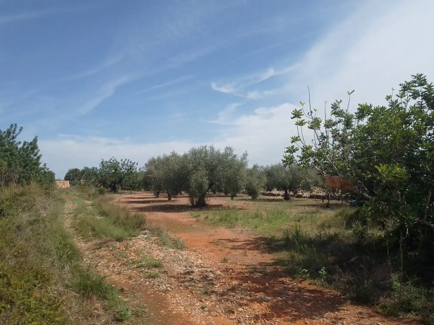 Terreny rústic en venda a Càlig, imagen 5