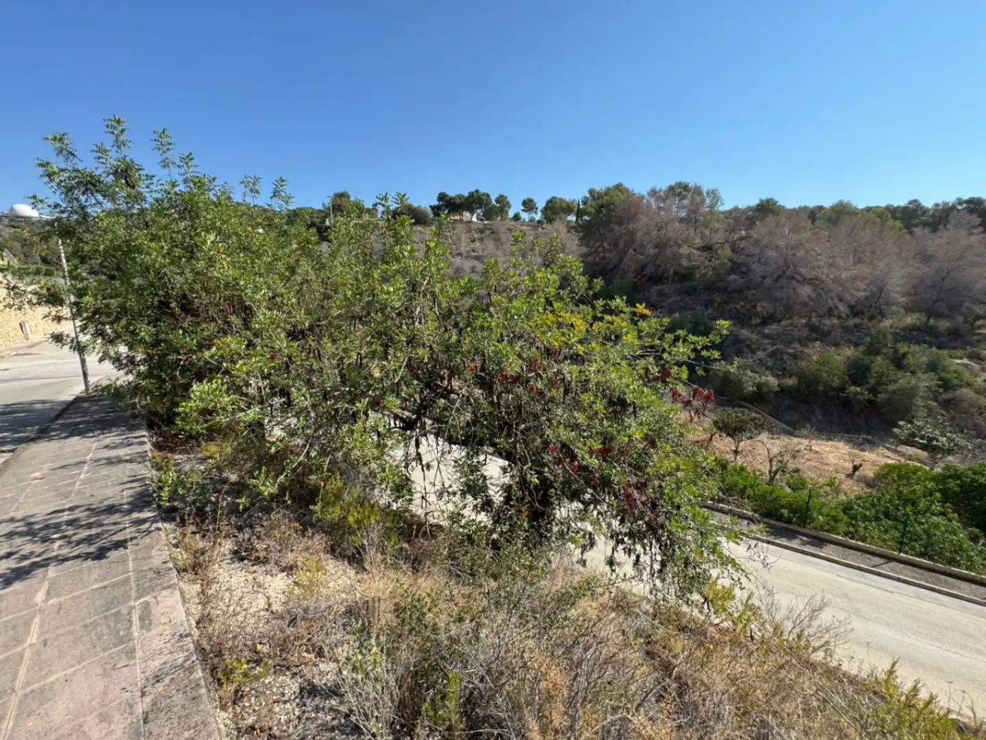 Wohnbaugrundstück zum Verkauf in La Fustera, imagen 15