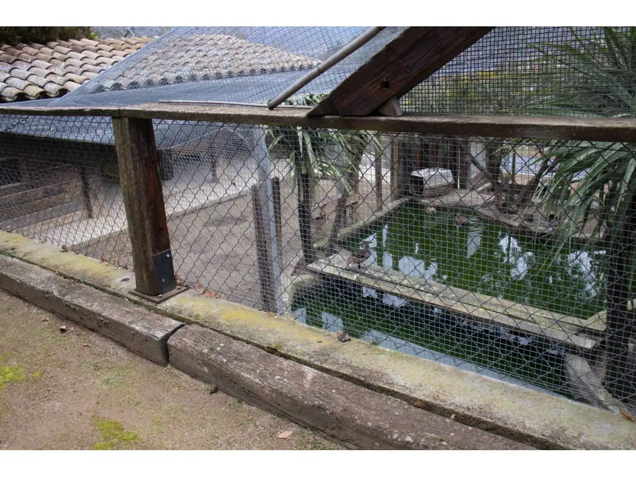 Maison avec piscine à vendre à Calle JOAQUIM MIR, imagen 27