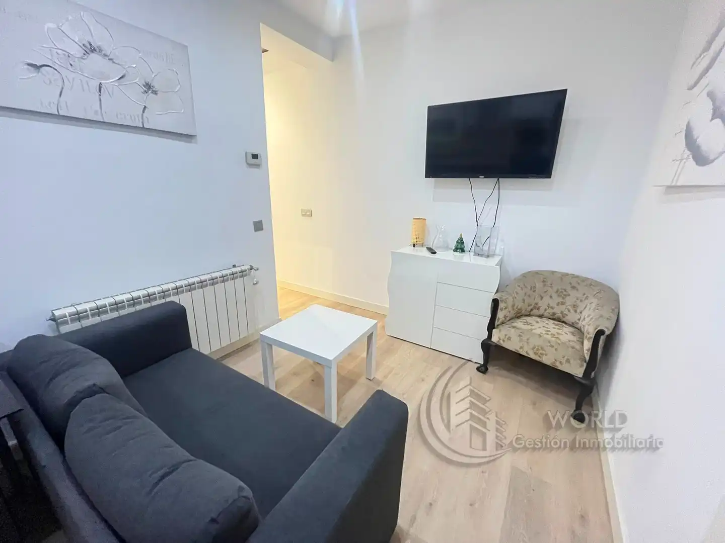 Living room of Flat for rent in Madrid  with Air Conditioner, Heating and Furnished