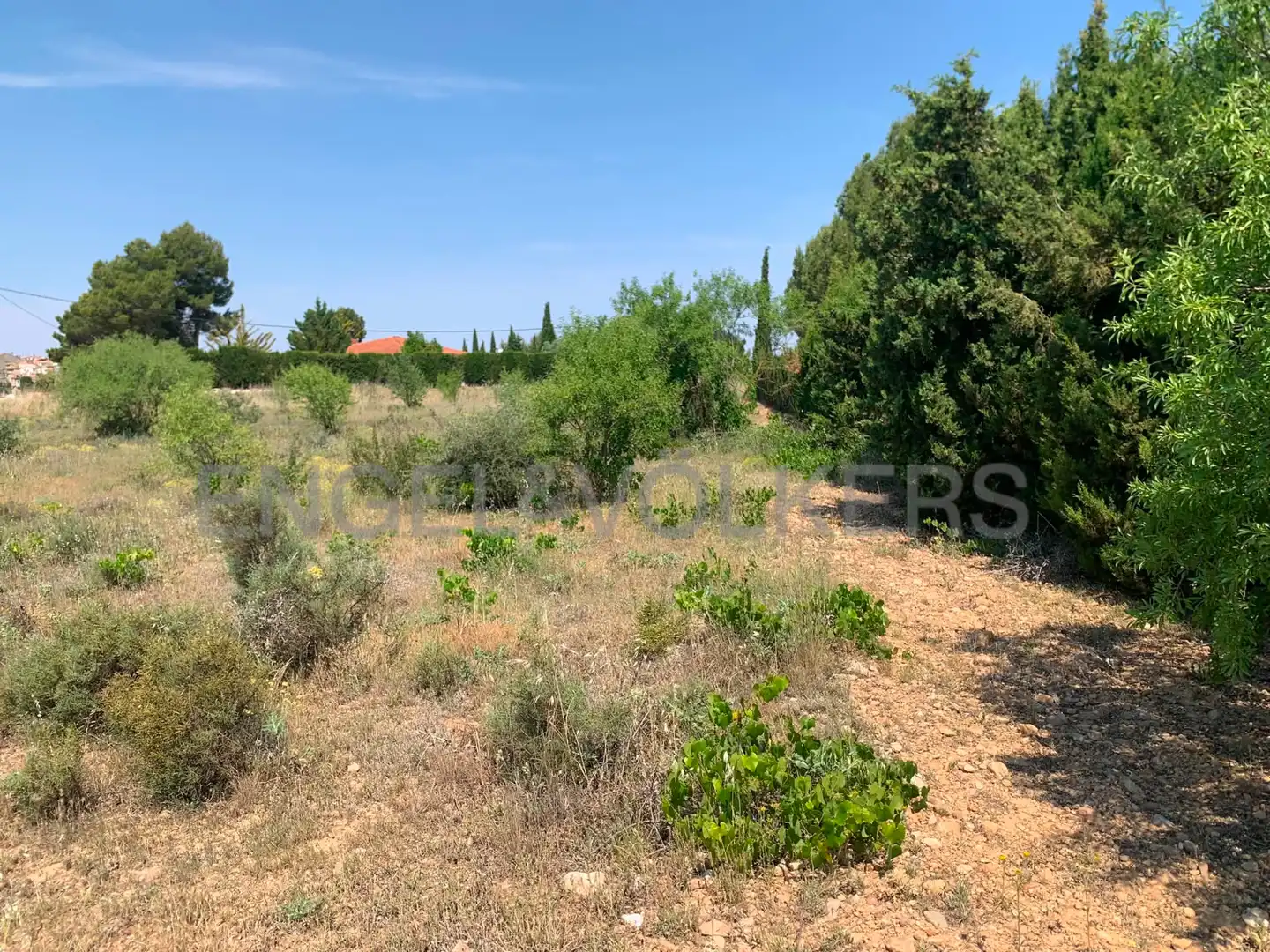 Terreny rústic en venda a Requena, imagen 19