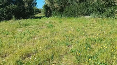 Foto 4 de Terreno en venta en Diseminado Poligono 12, 203, Alaior poble, Illes Balears