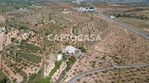 Foto 4 de Finca rústica en venta en Perín, Murcia