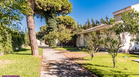 Espectacular chalet en  Barbate, imatge 2