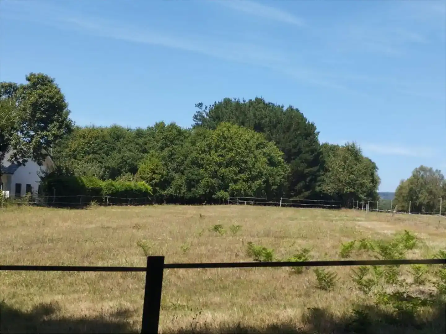 Grundstücke zum Verkauf in Begonte