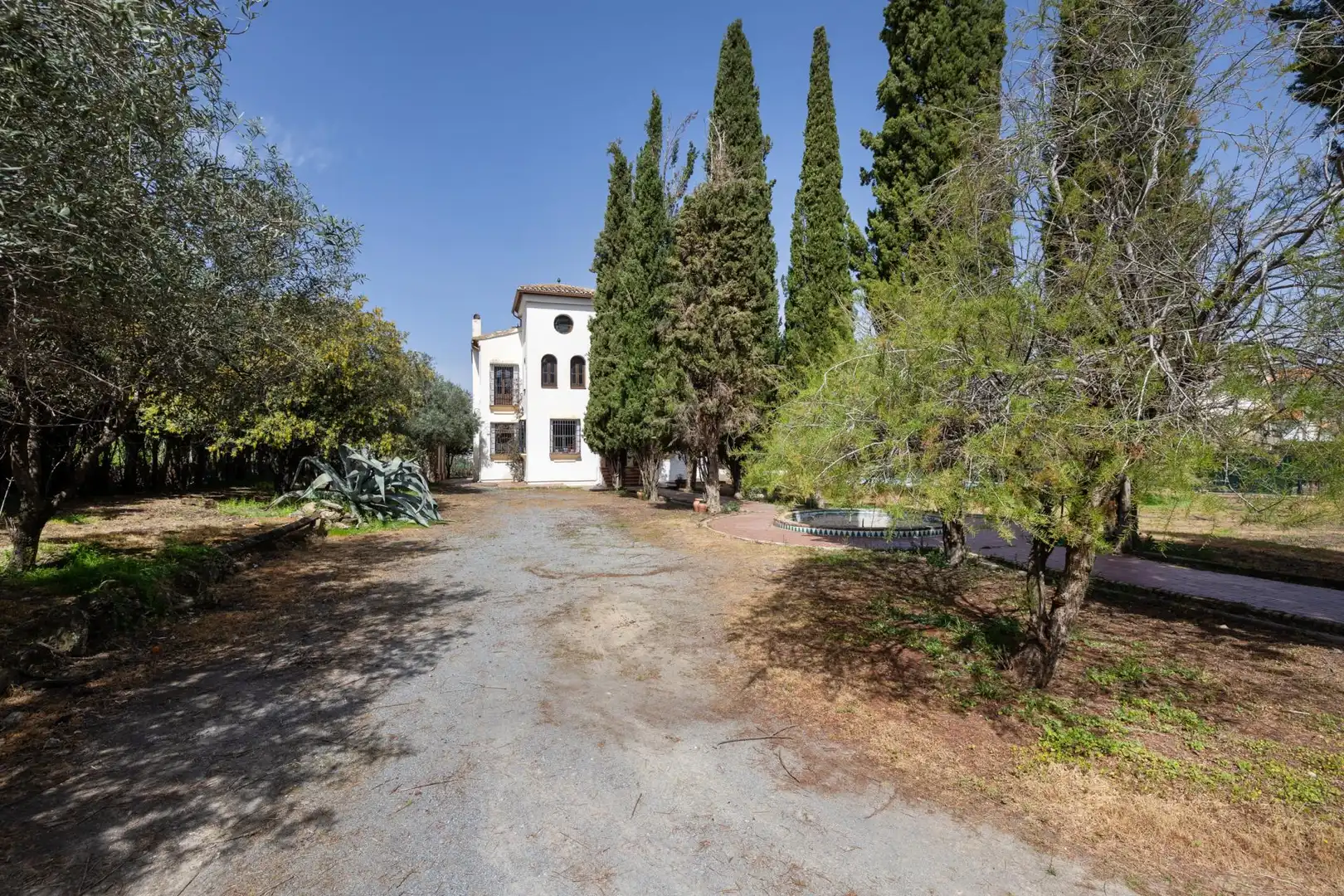 Chalet con piscina en venta en Calle Camino del Almendral 4, imagen 6