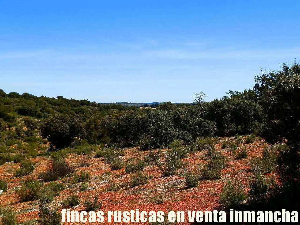 Lands and plots for sale in Ossa de Montiel, imagen 10