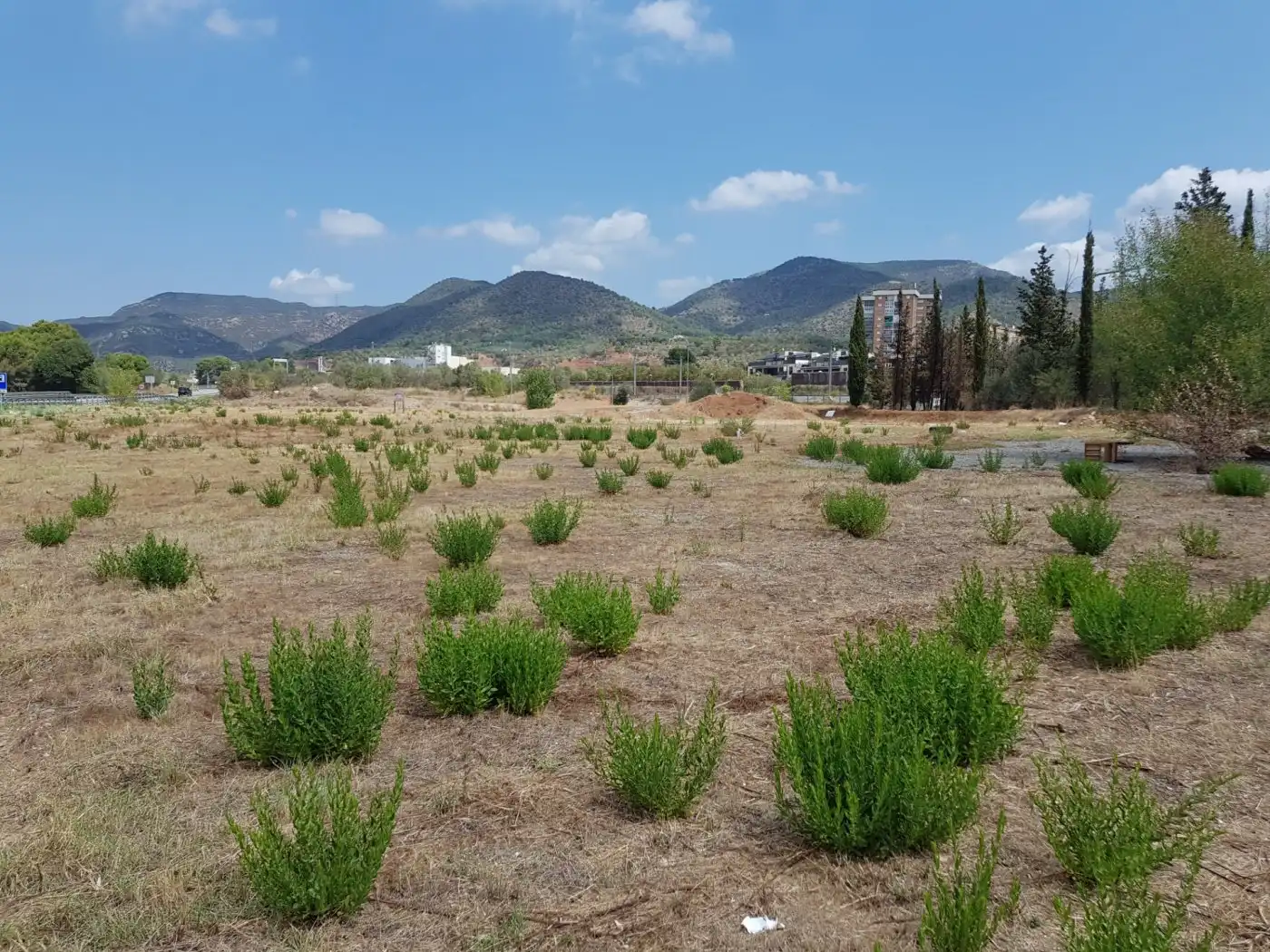 Terrenys i solars en venda a Olesa de Montserrat