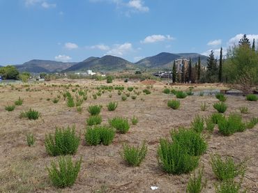 Lands and plots for sale in Olesa de Montserrat