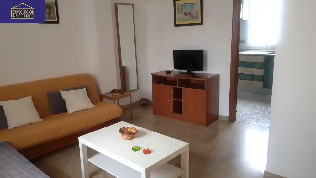 Wohnzimmer von Wohnungen zur Miete in Córdoba mit Klimaanlage, Heizung und Möbliert