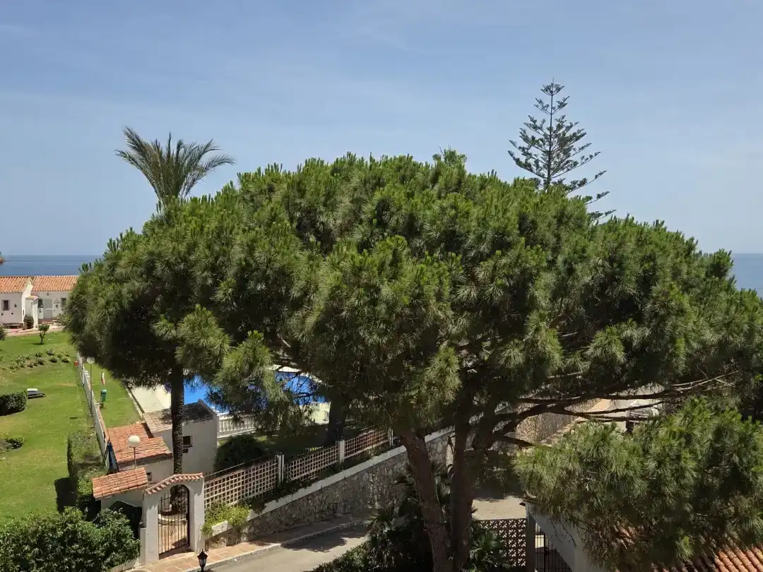 Garten von Wohnungen zum Verkauf in Mijas mit Klimaanlage, Schwimmbad und Balkon