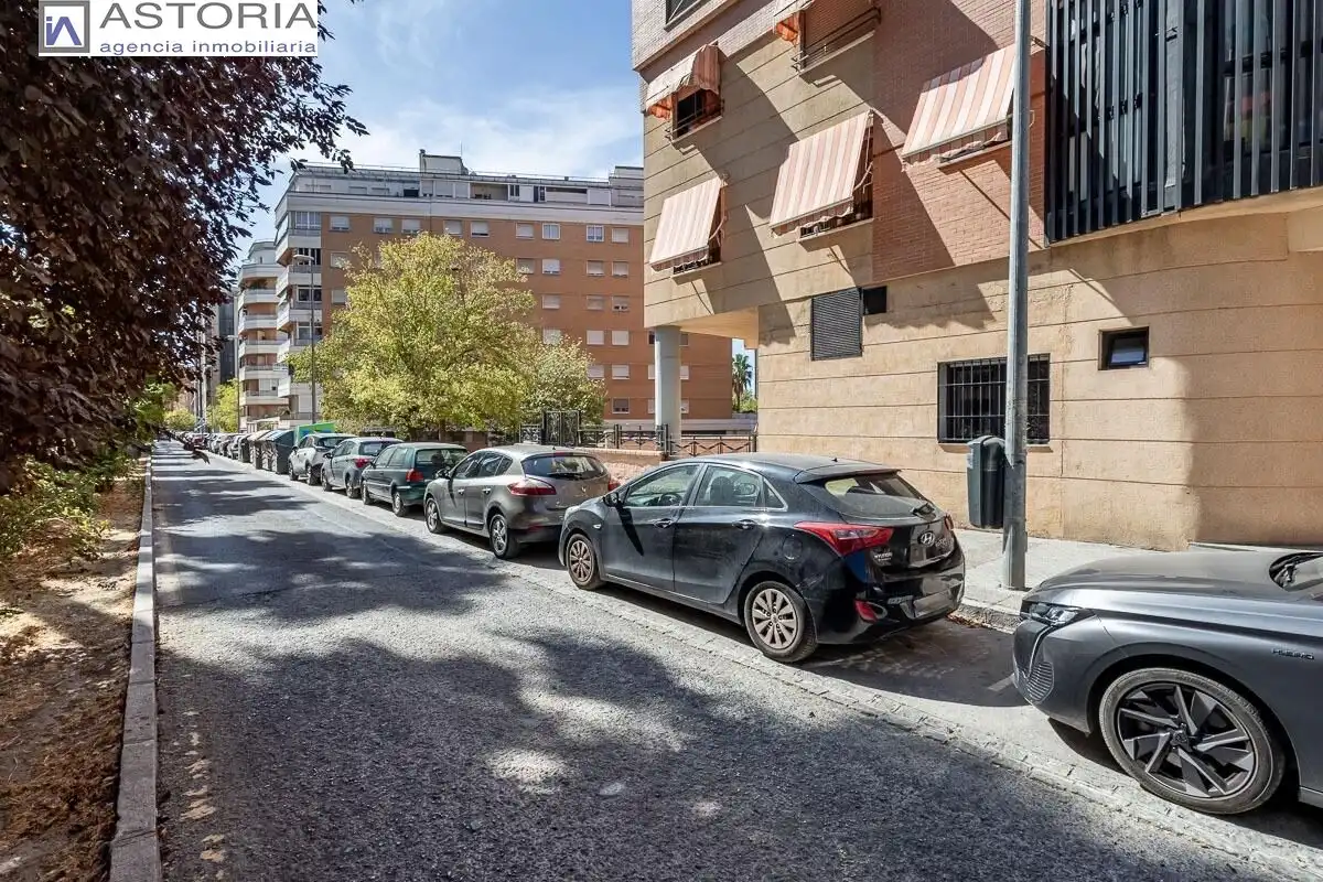 Baixos amb piscina en venda a Calle PDTA RAFAEL GAGO PALOMO 9, imagen 30