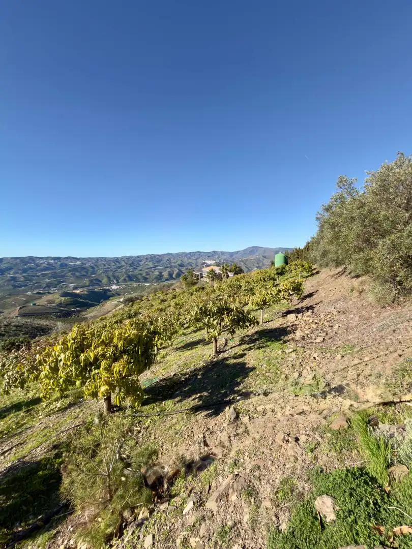 Vista exterior de Casa o xalet en venda en Vélez-Málaga amb Piscina