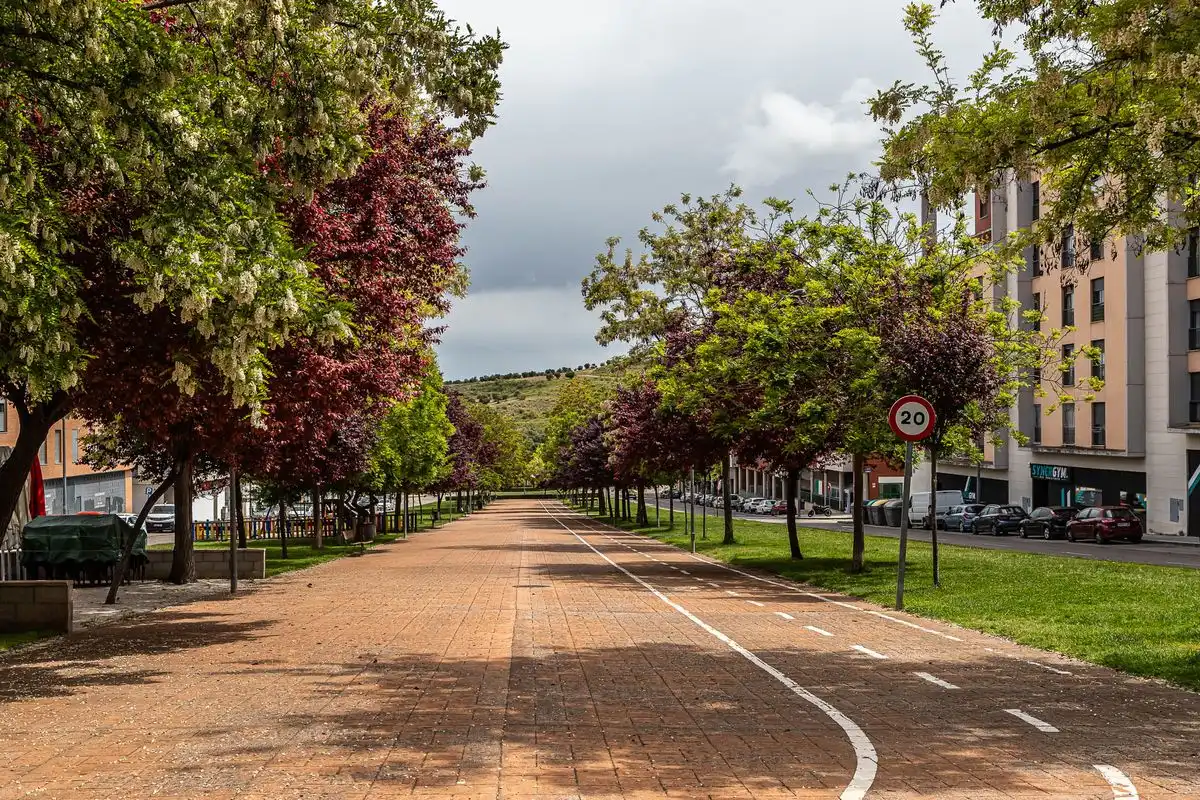 Local comercial de lloguer a Las Cañas, imagen 25