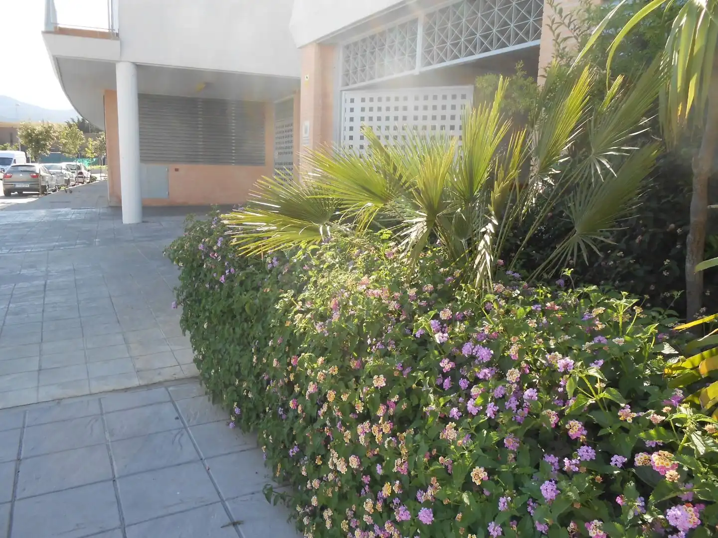 Aparcament en venda a Lugar Lg Pp Pajarete Ejec 33C, imagen 3