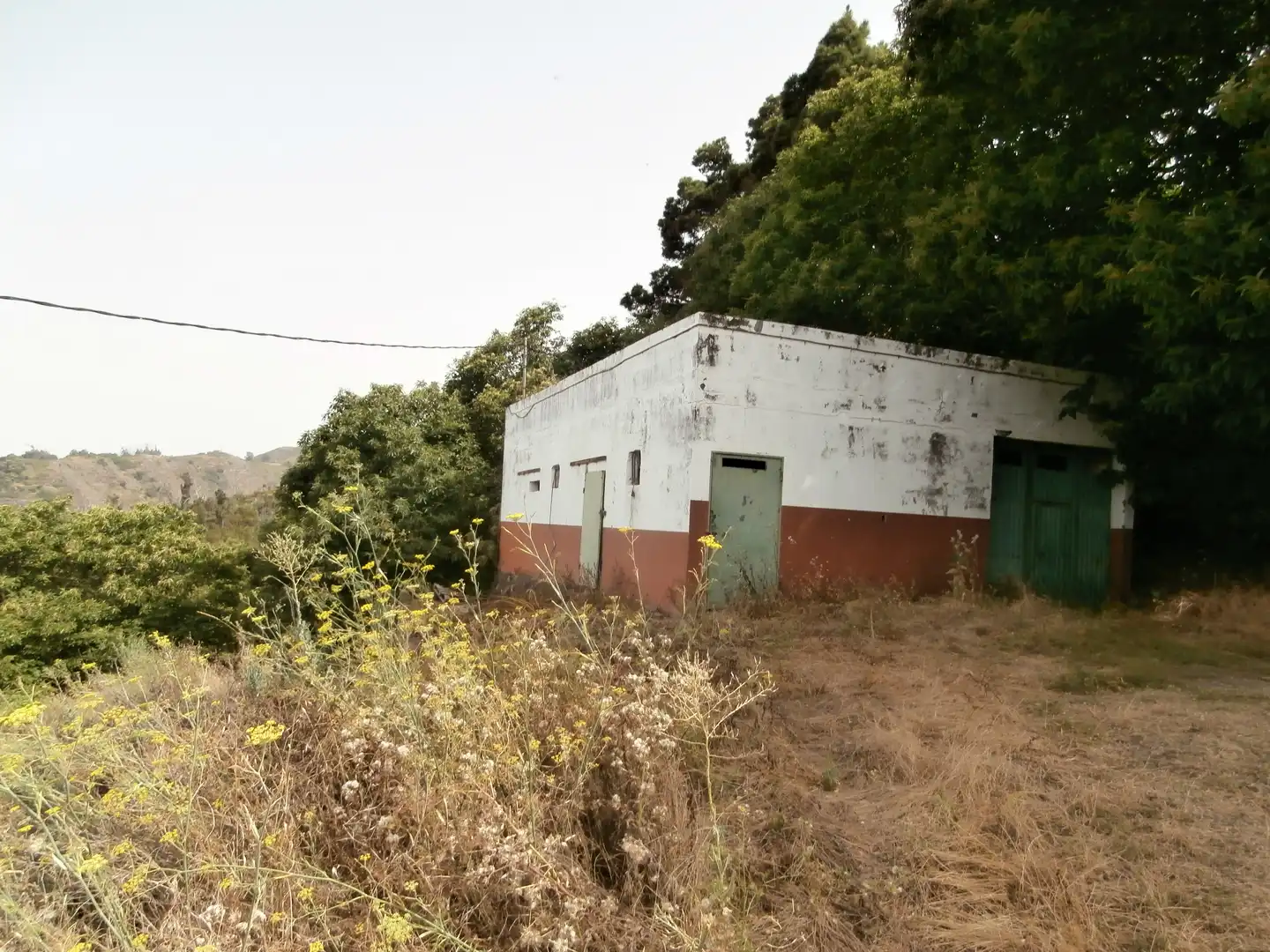 Finca rústica en venta en Camino Lomo el Marco, 41, Moya (Las Palmas)