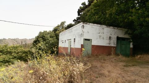 Foto 5 de Finca rústica en venta en Camino Lomo el Marco, 41, Moya (Las Palmas), Las Palmas