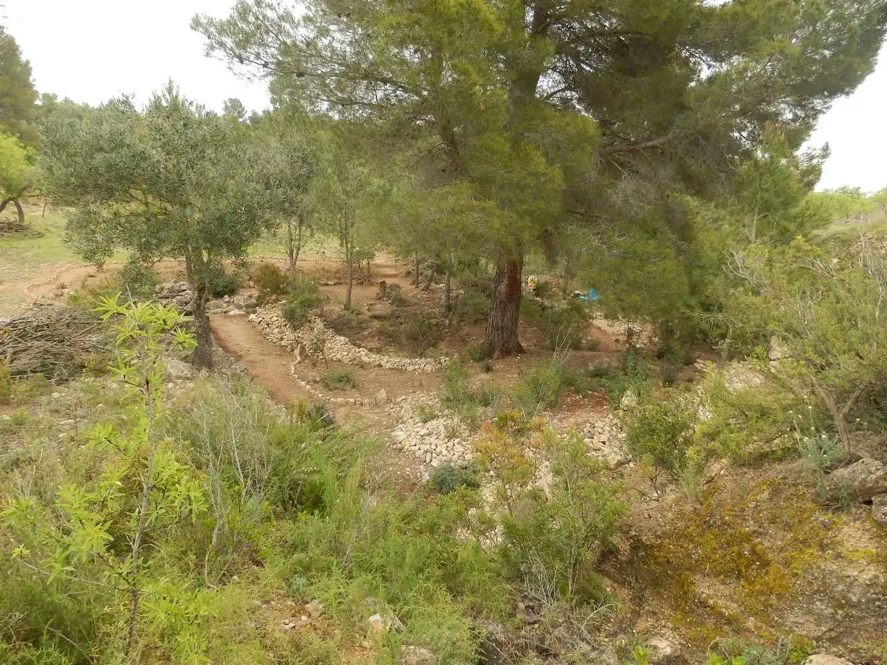 Terreno rustico in vendita a Miravet, imagen 7
