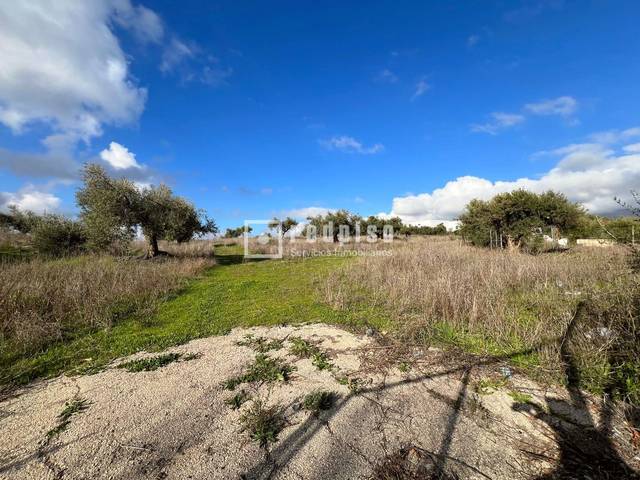 Terreno residencial en Venta en Suertes Viejas en Colmenar