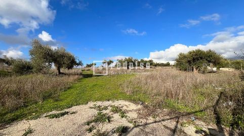 TERRENO URBANIZABLE DE CASI 80.000 M PARA DESARROLLO DE 250 VIVIENDAS EN COLMENAR, MÁLAGA, immagine 3