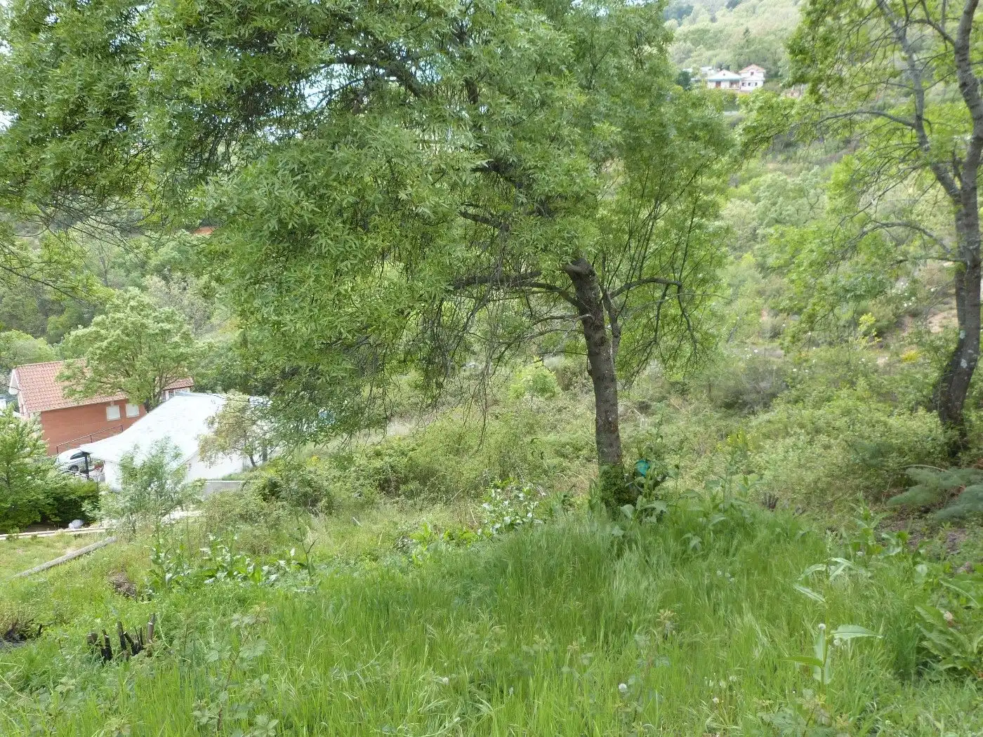 Residential land for sale in Calle Santiago 23, imagen 8
