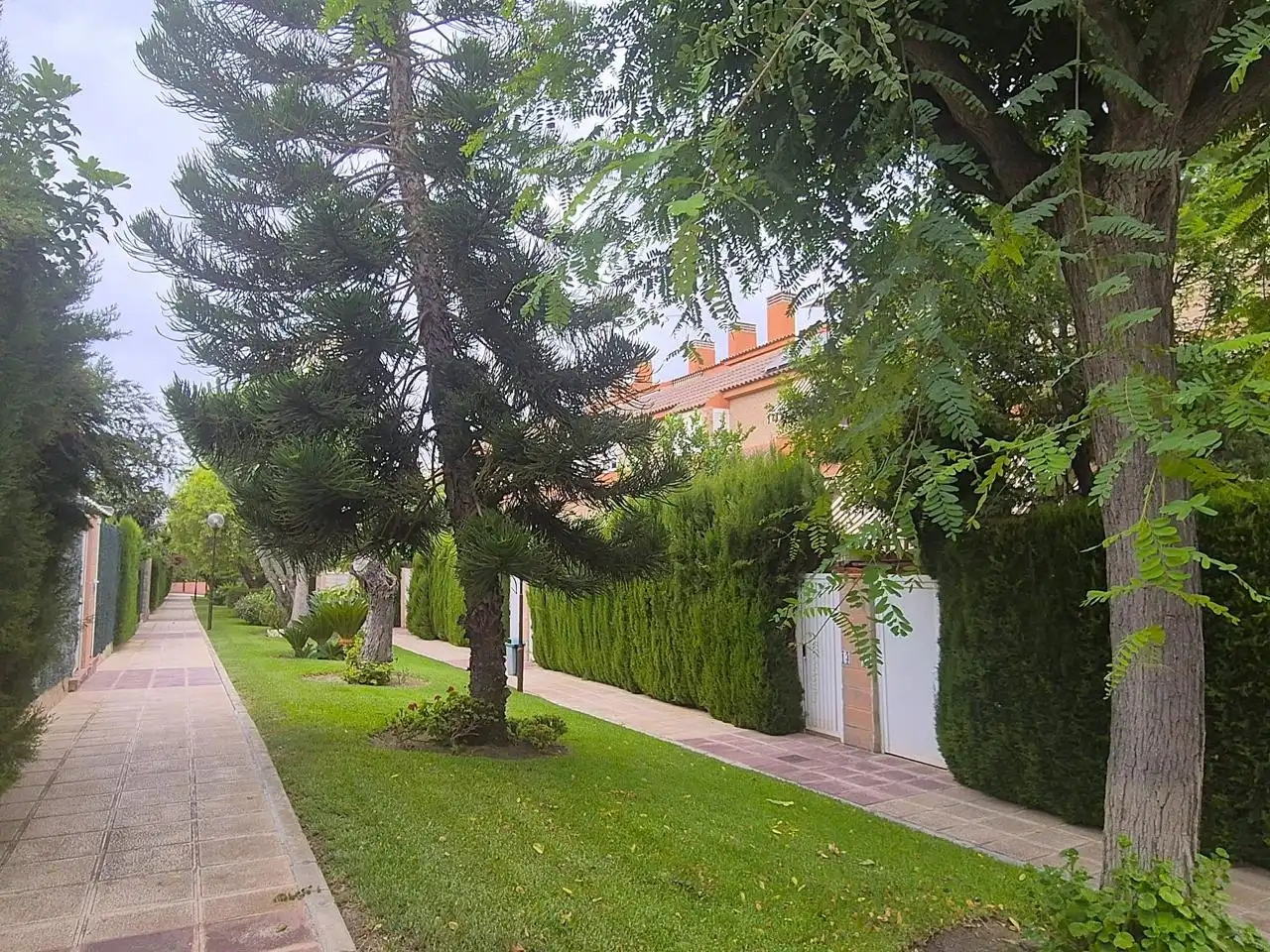Vista exterior de Casa o xalet en venda en Alicante / Alacant amb Aire condicionat, Jardí privat i Terrassa