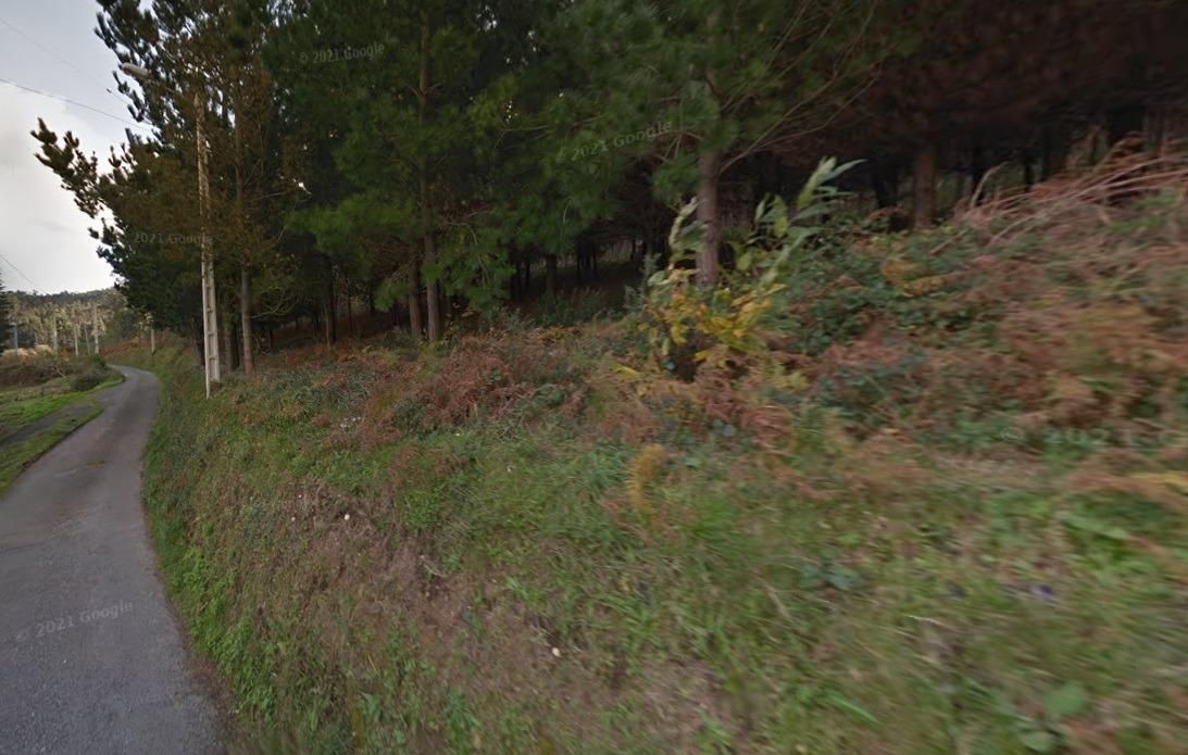 Finca rústica en venda en O Vicedo  amb Jardí privat
