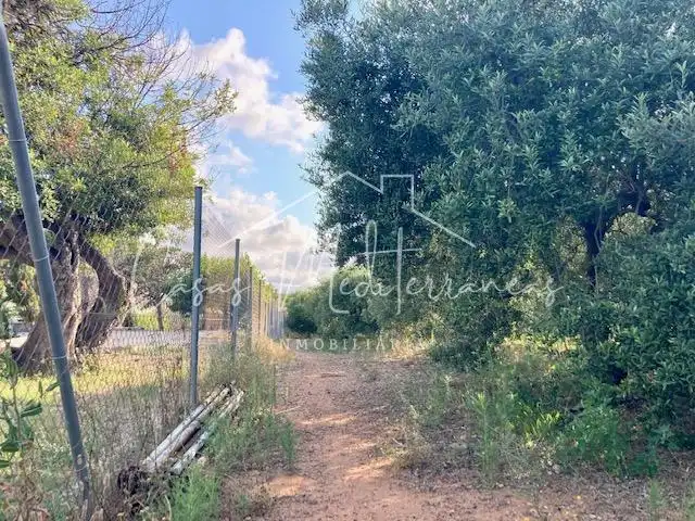 Country house for sale in Riudoms, imagen 3