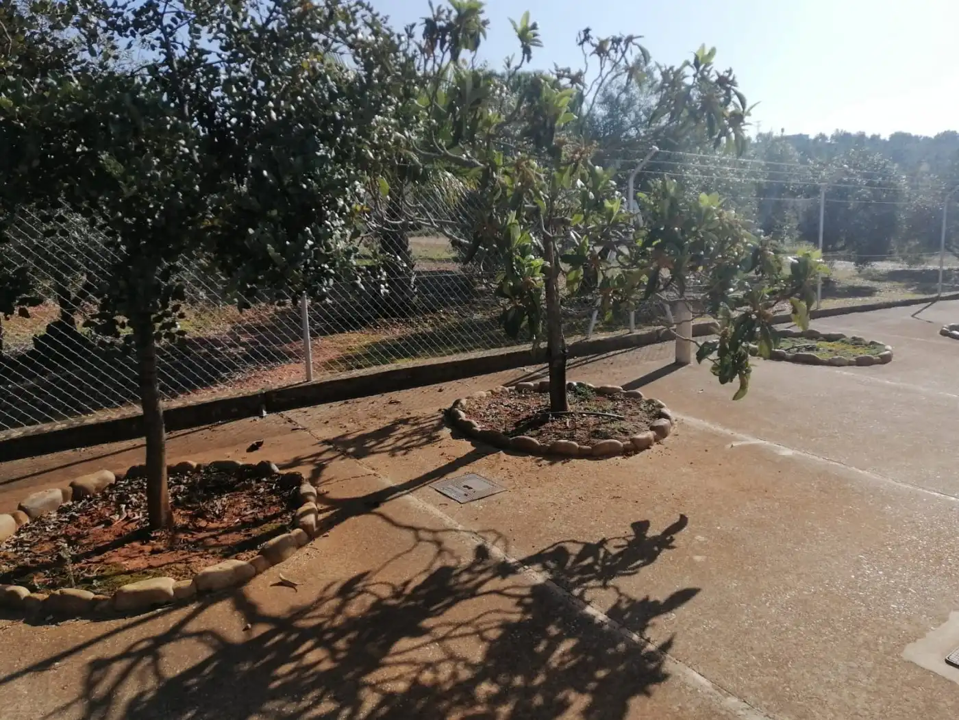 Casa amb jardí en venda a Montoro, imagen 41