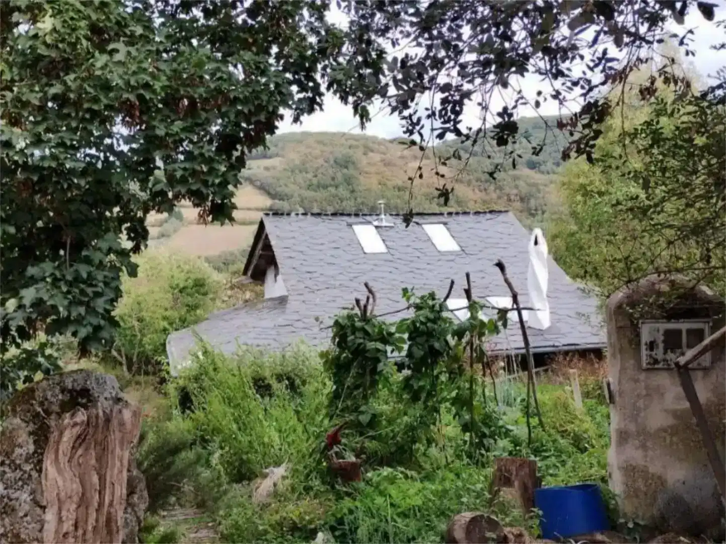 Jardín de Casa o chalet en venta en Chandrexa de Queixa con Jardín privado, Amueblado y Balcón