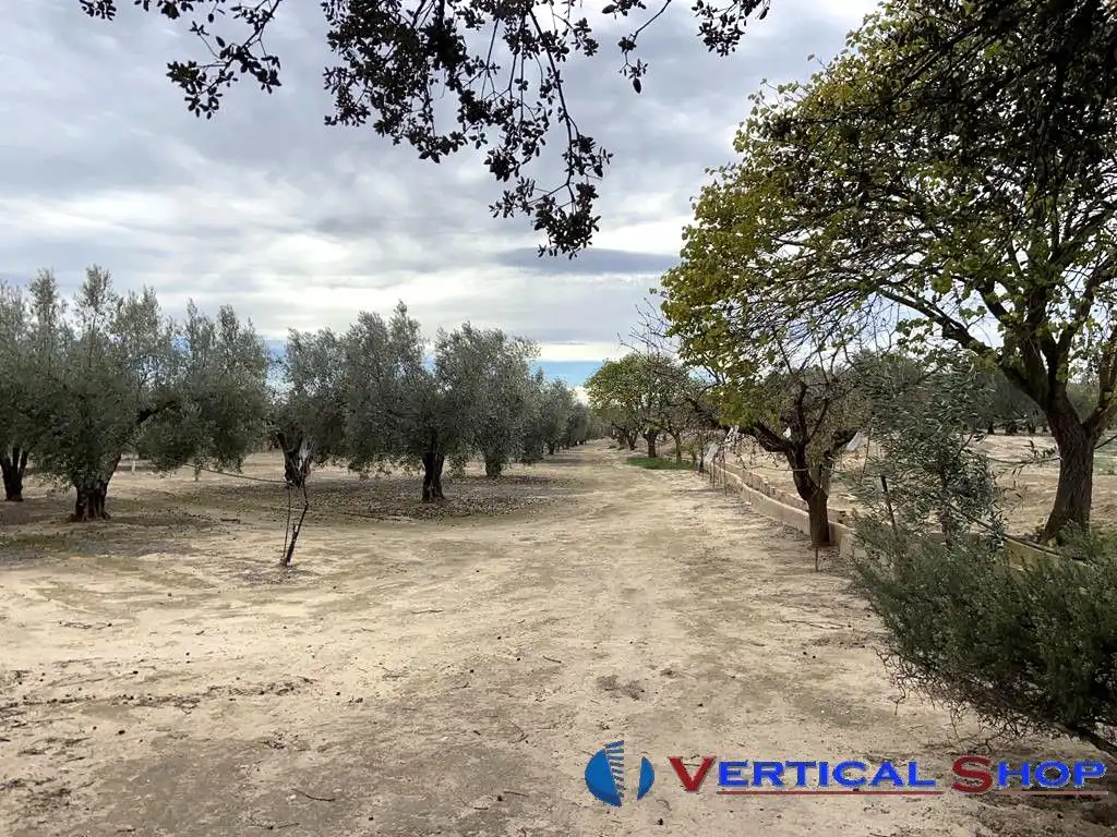 Casa o chalet en venta en Caudete