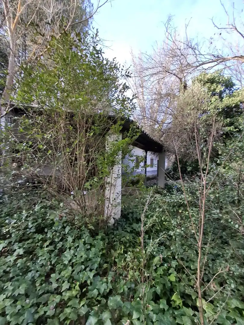 Houses for rent in Pezuela de las Torres