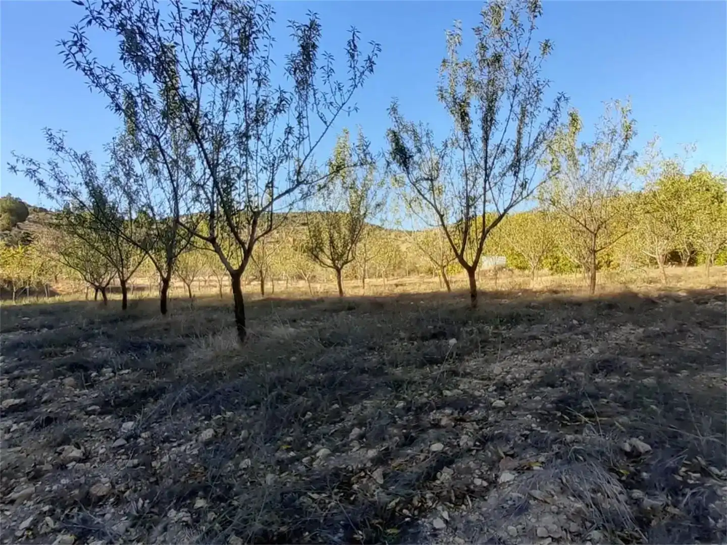 Terreno en venta en Algar de Mesa, Guadalajara