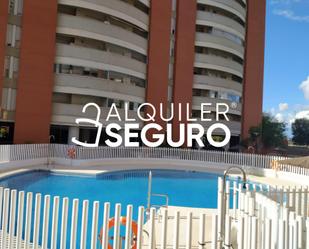 Swimming pool of Flat to rent in  Sevilla Capital  with Air Conditioner, Terrace and Swimming Pool