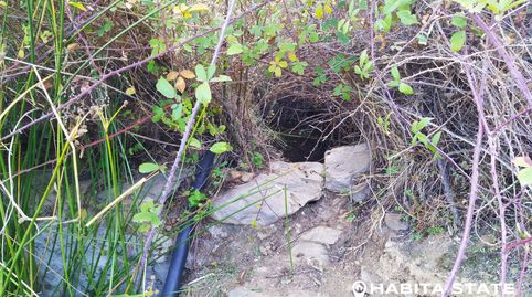 SE VENDE FINCA EN BENIZALÓN, imatge 4