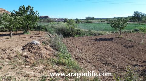Huerta en Fabara. Al lado del río. 5.574m2. 22.000€, immagine 3