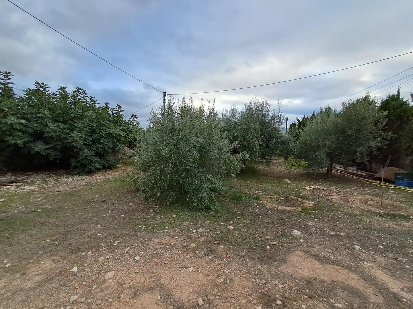 Casa o chalet en venta en Aspe con Jardín privado, Terraza y Trastero