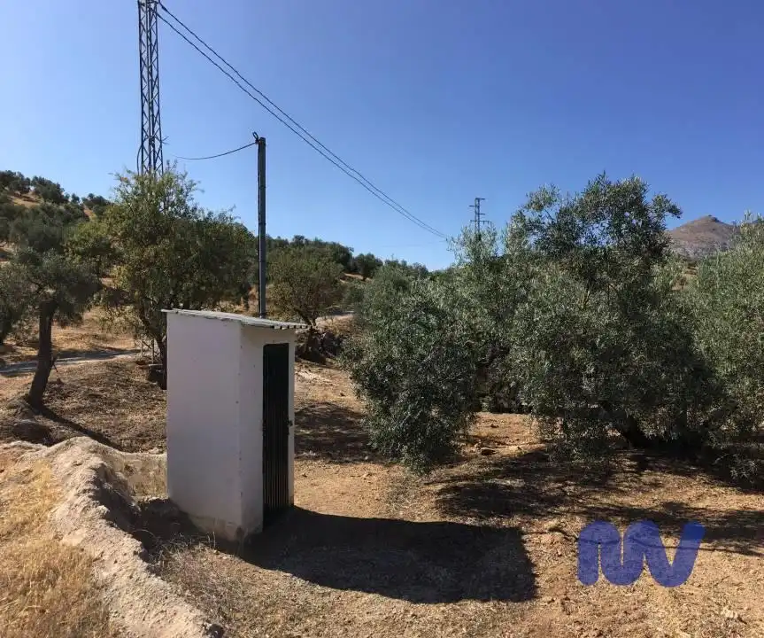Terrenys i solars en venda a Partido Vega Baja, Valle de Abdalagís, imagen 6