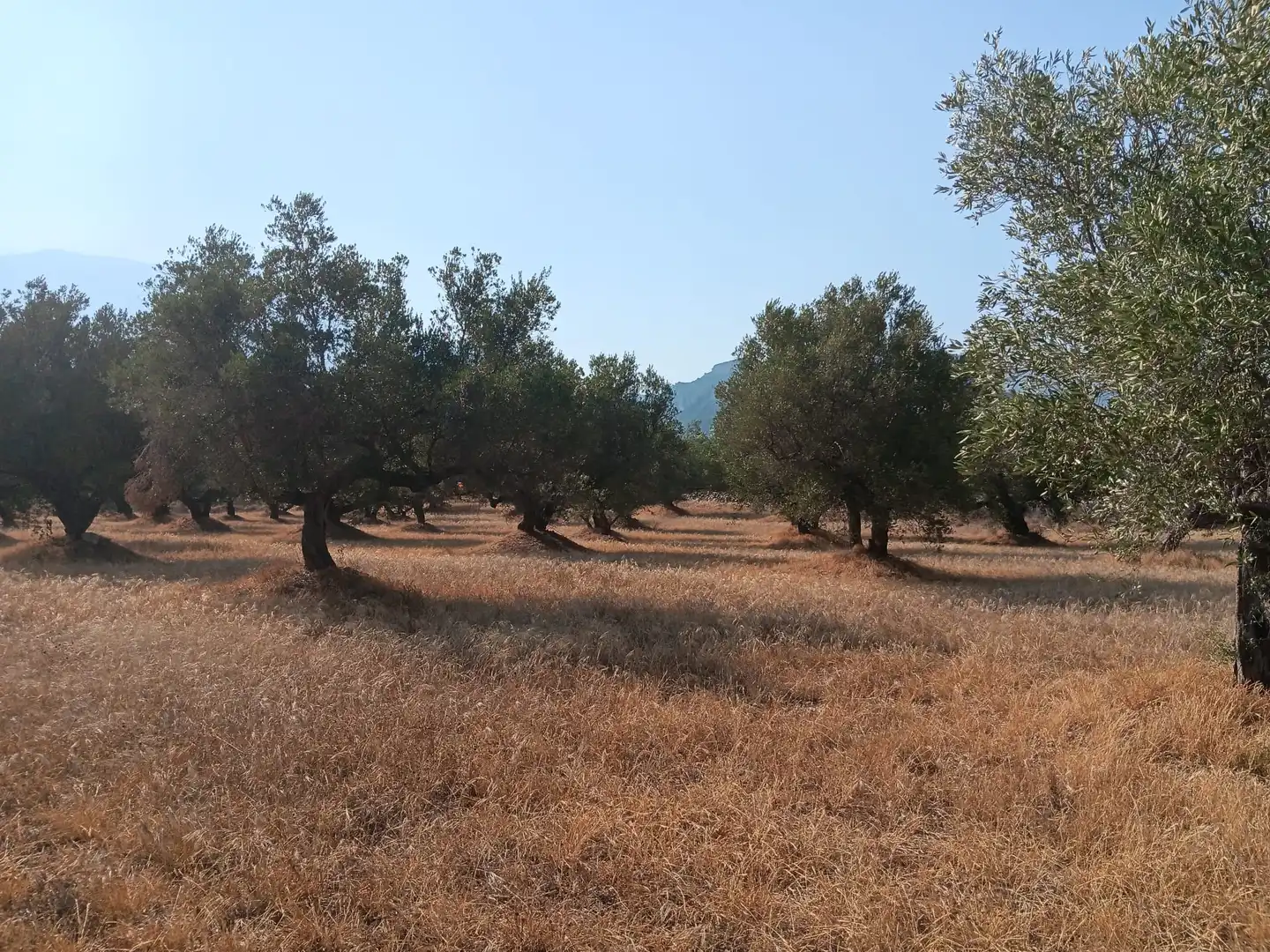 Residencial en venta en Tortosa