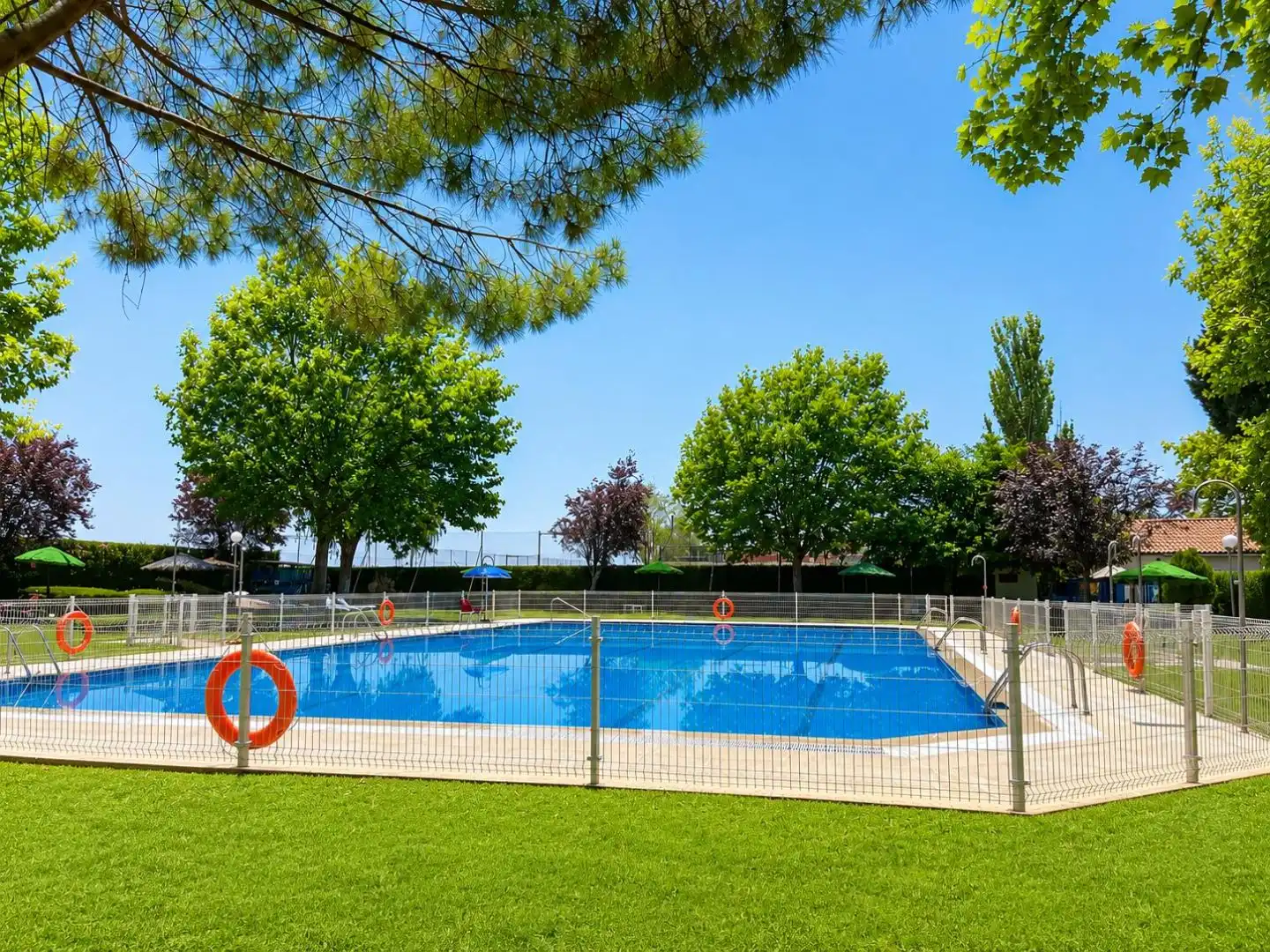 Piscina de Casa o chalet en venta en Algete Centro