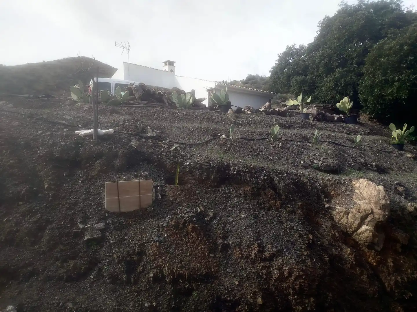 Vista exterior de Finca rústica en venda en Vélez-Málaga amb Jardí privat, Traster i Moblat