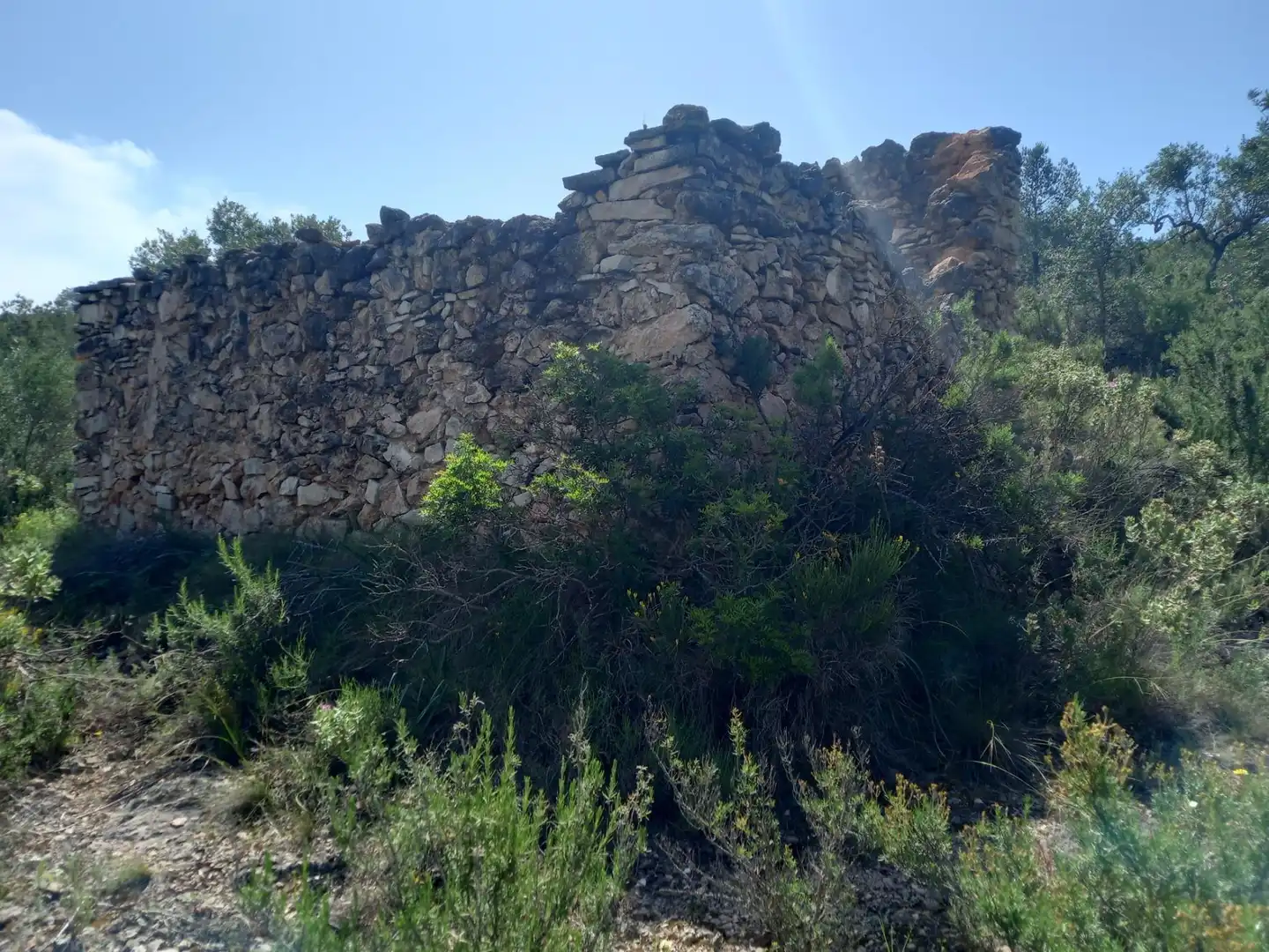 Terreny rústic en venda a Miravet, imagen 7