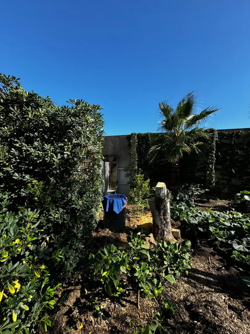 Casa o xalet en venda a Sant Vicenç Dels Horts