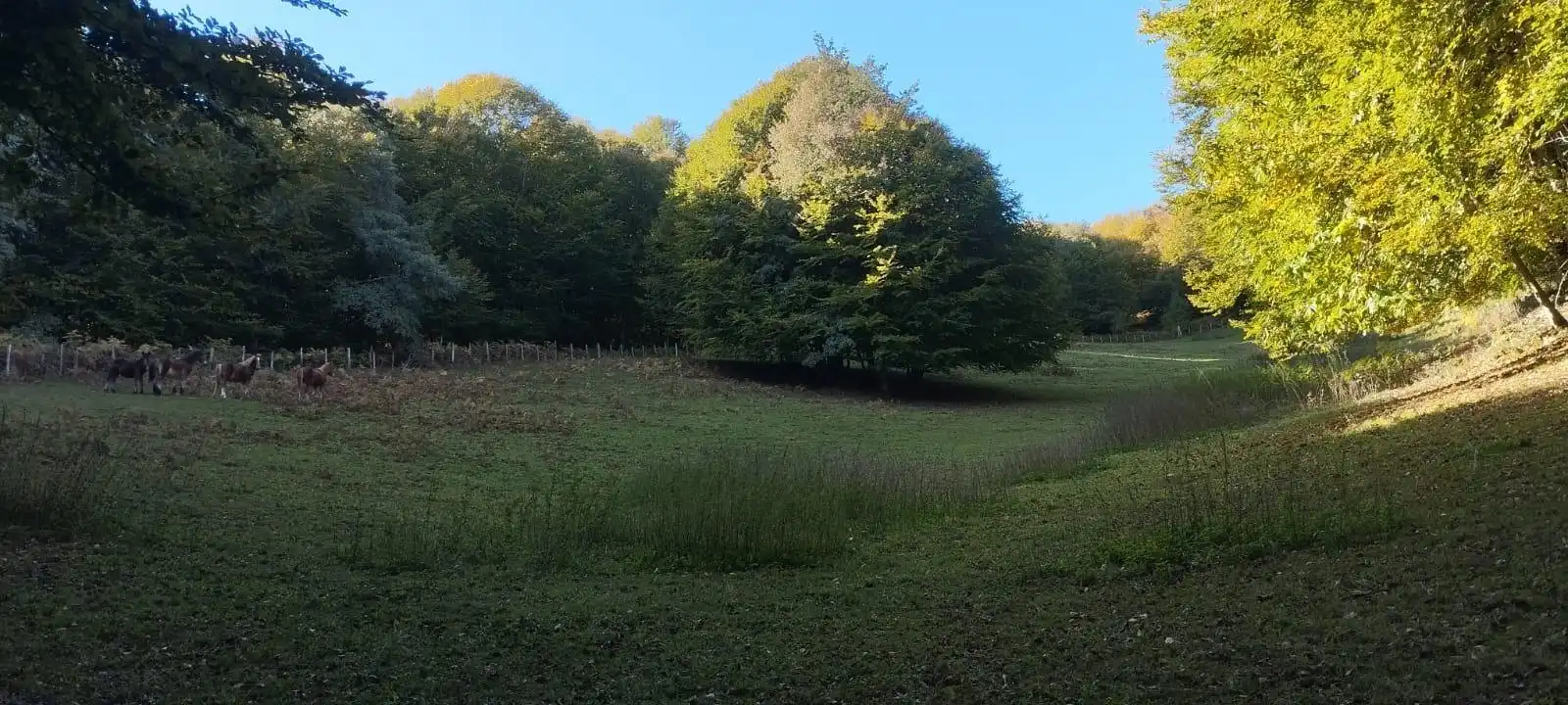 Terreno en venta en Basaburua, Navarra