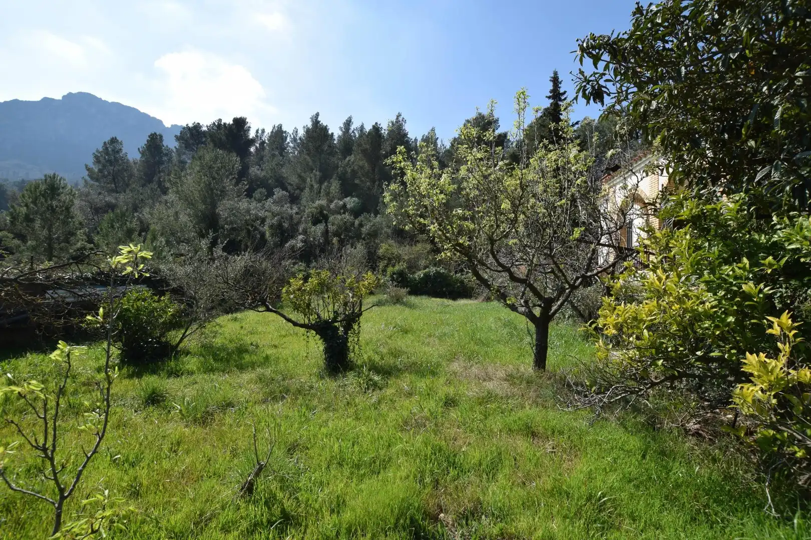Casa o xalet en venda en Alfara de Carles amb Terrassa, Traster i Piscina