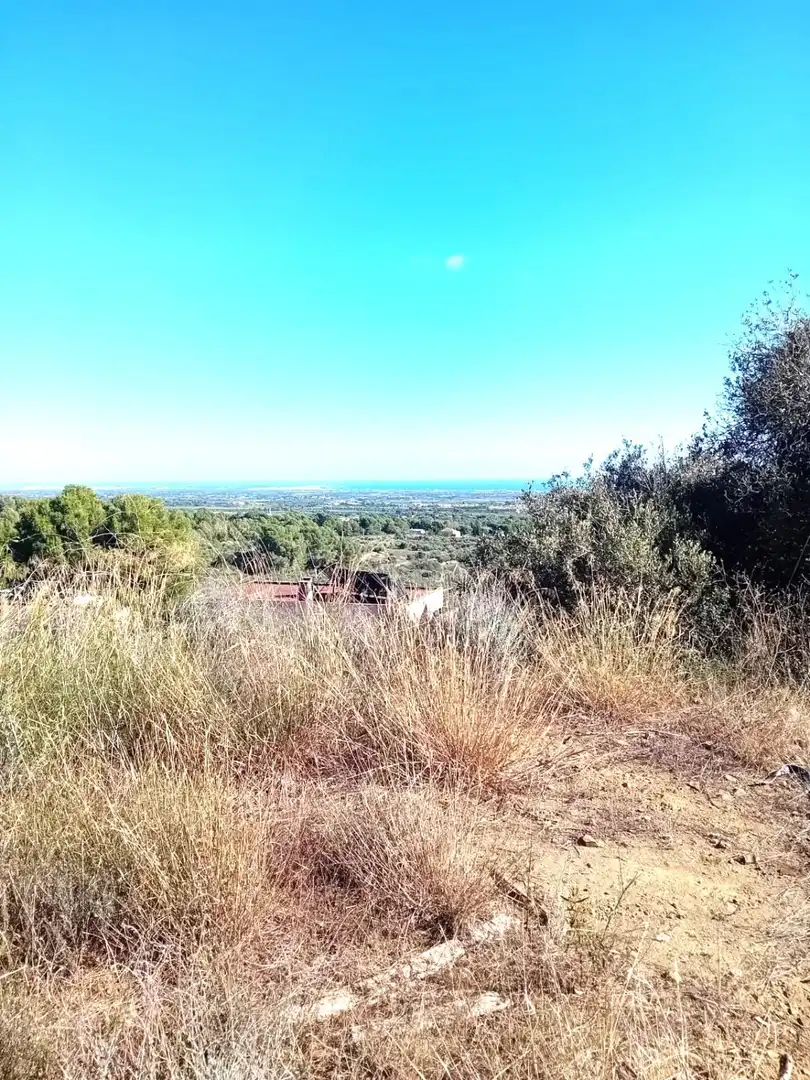 Terreno residenziale in vendita a Riudecanyes, imagen 6