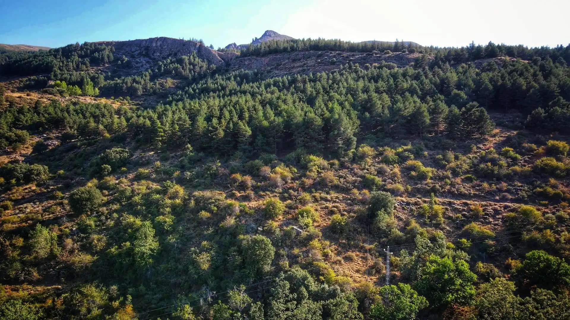 Casa o chalet en venta en Güéjar Sierra con Calefacción, Jardín privado y Terraza