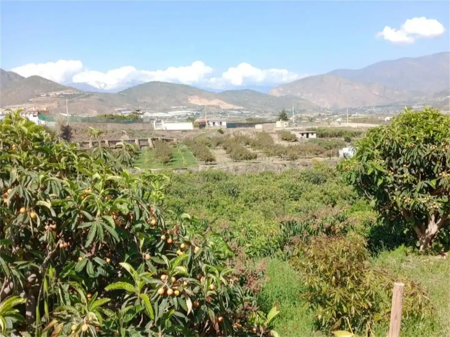 Finca rústica en venda en Salobreña